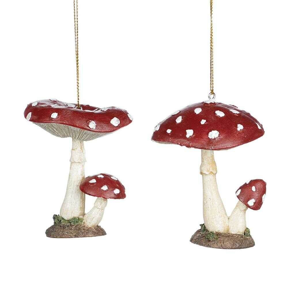 Shop now in UK Goodill Belgium 2020 MC 35045 Dotted Mushrooms 2 Assorted